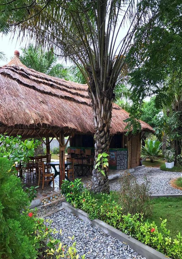 Twitter Paradise Ampeni Exterior foto