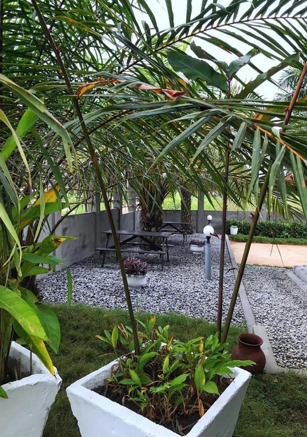 Twitter Paradise Ampeni Exterior foto